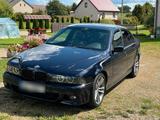 BMW Bmw e39 530d - BMW 530 aus 2000: 530d