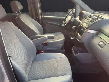 Mercedes Viano - 10