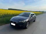 Seat Leon 2.0 TDI DSG 110kW Xcellence Plus  - Seat Leon 1P mit Diesel-Antrieb