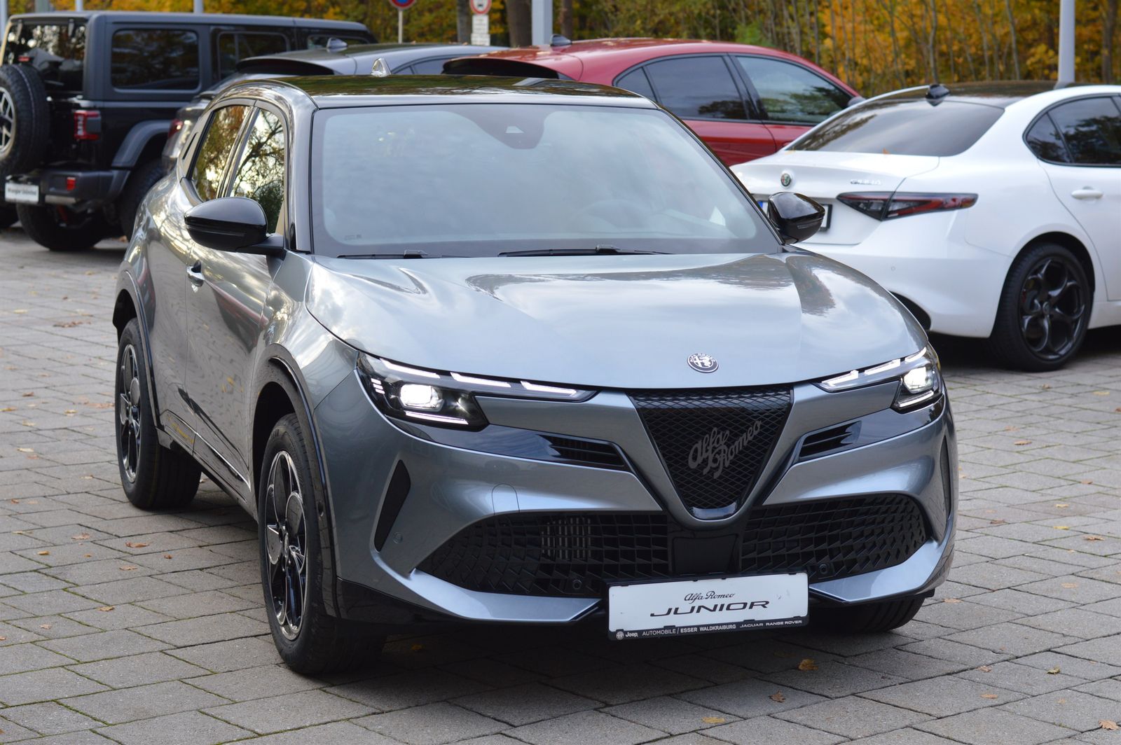 Alfa Romeo Junior - Bild 3