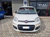 Fiat FIAT Panda 1.3 MJT 95 CV S&S Easy - Fiat Panda EASY mit Diesel-Antrieb