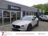Mazda CX-30 Homura X 186 Automatik Navigation|Bose|360 - Mazda CX-30 aus 2023