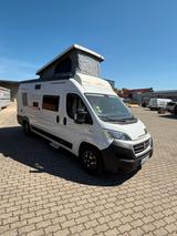 Roller Team Linvingstone Duo Sport - Roller Team Kastenwagen