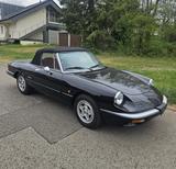 Alfa Romeo Spider - Alfa Romeo Oldtimer