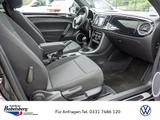 Volkswagen Beetle 1.4TSI XENON NAVI PANORAMA - gebrauchte VW Beetle aus dem Jahr 2017