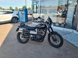 Triumph Scrambler 900, Öhlins, Raisch Gabel - TRIUMPH 900 SCRAMBLER