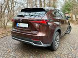 Lexus NX 300 300h E-FOUR Amazing Edition - scheckheftgepflegte Lexus NX-Serie