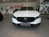 Mazda CX-30 2.0 e-SKYACTIV-X AWD Homura Premiun Paket - Mazda CX-30: Homura