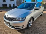 Skoda Rapid Spaceback Joy - Skoda Rapid: Joy