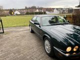 Jaguar XJ8 3.2 - - Jaguar XJ8: 3.2
