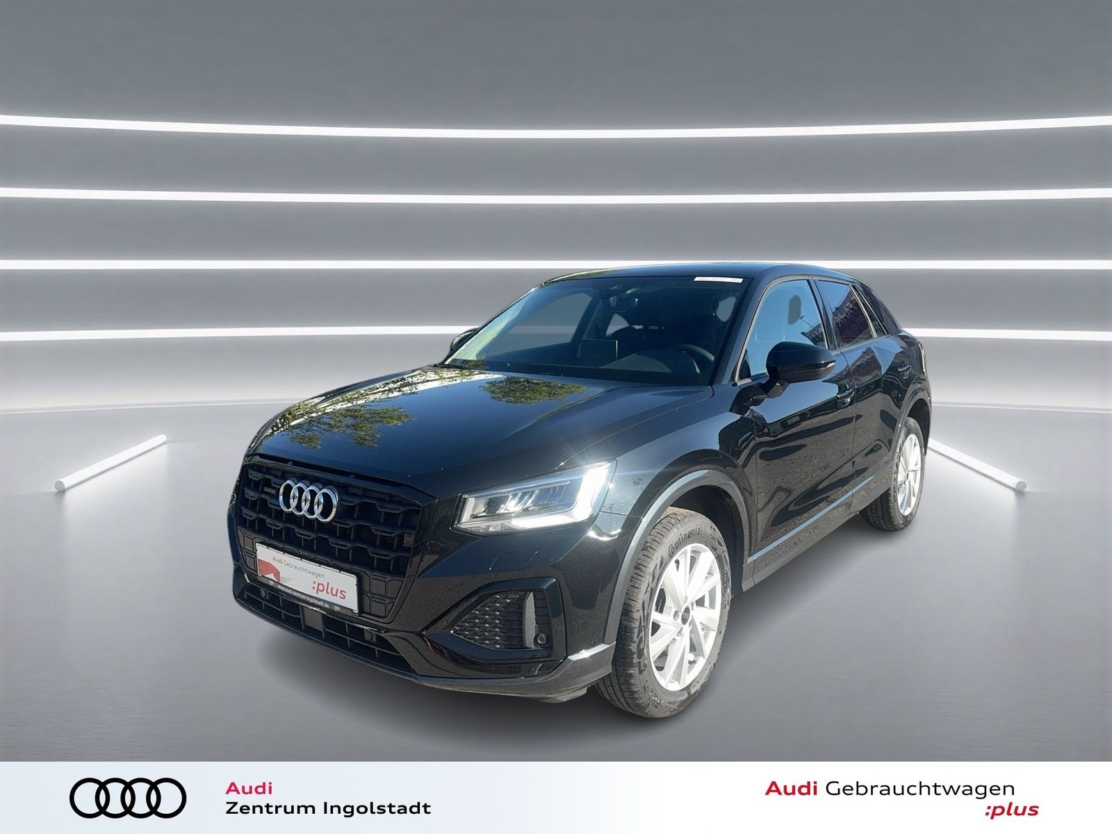 Audi Q2 40 TFSI qu advanced LED Kamera ACC SHZ PDC+