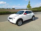 Nissan Juke Pure Drive dci - Nissan PickUp: Geländewagen