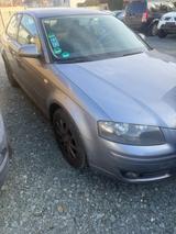 Audi A3 1.9 TDI (DPF) Ambiente - Audi A3 aus 2008: 1.9