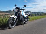 Yamaha RD 250 LC - Offers