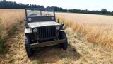 Jeep Willys