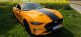 Ford Mustang Ecoboost - Ford Mustang Gebrauchtwagen in Stuttgart