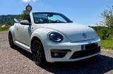 Volkswagen Beetle 1.4 TSI R-LINE CUP Cabriolet  - Volkswagen Beetle: Cabrio