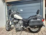 Yamaha Virago XV 1100 - zuverlässiger Cruiser  - YAMAHA XV 1100 VIRAGO