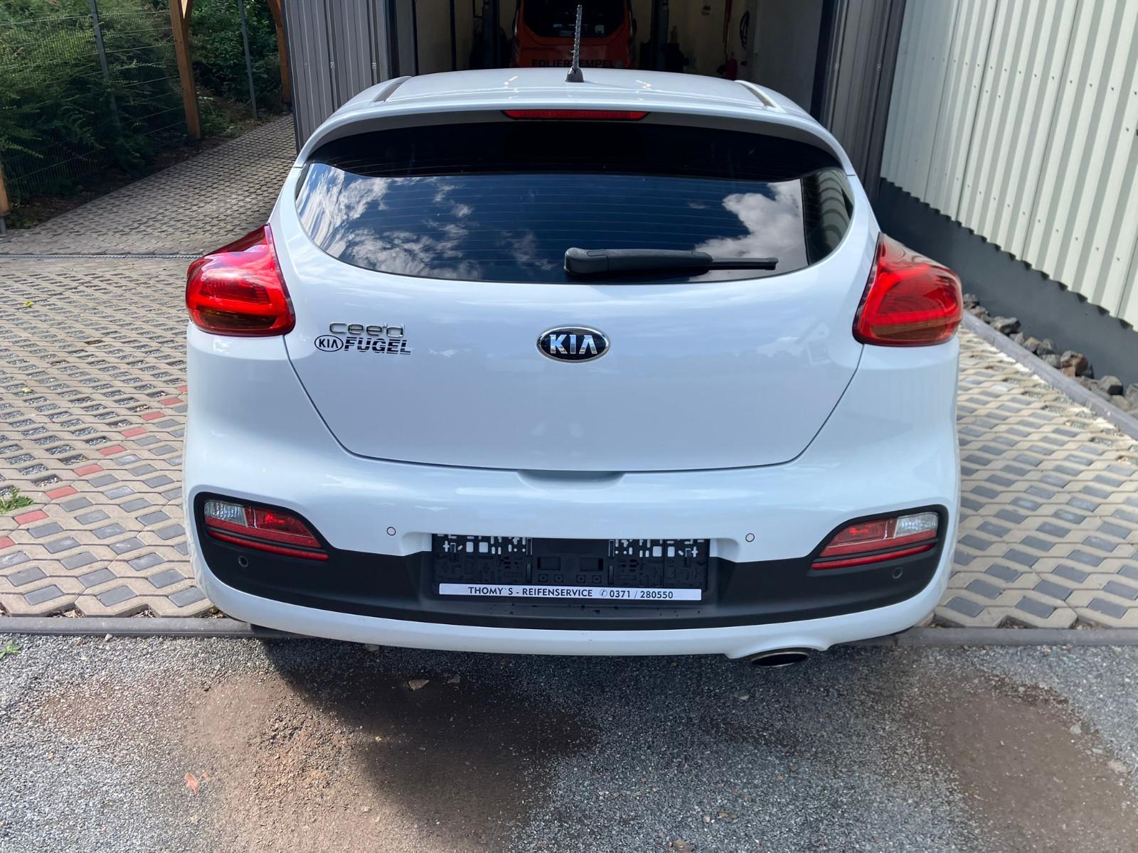 Kia pro cee'd / ProCeed 1,6 Edition 7 51000 KM