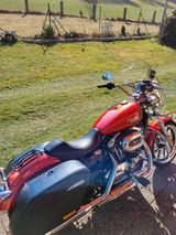 Harley-Davidson Sportster XL 1200T Superlow - HARLEY-DAVIDSON SPORTSTER SUPERLOW 1200T