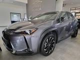 Lexus UX 300e Sitz-Klima MarkLevinson HUD 360°Glasdach - Lexus UX mit Panoramadach