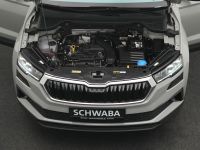 Skoda Karoq - Vorschau Bild 29