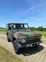 Mercedes-Benz 250 GD Wolf 461.4 - Mercedes-Benz G 250: Wolf