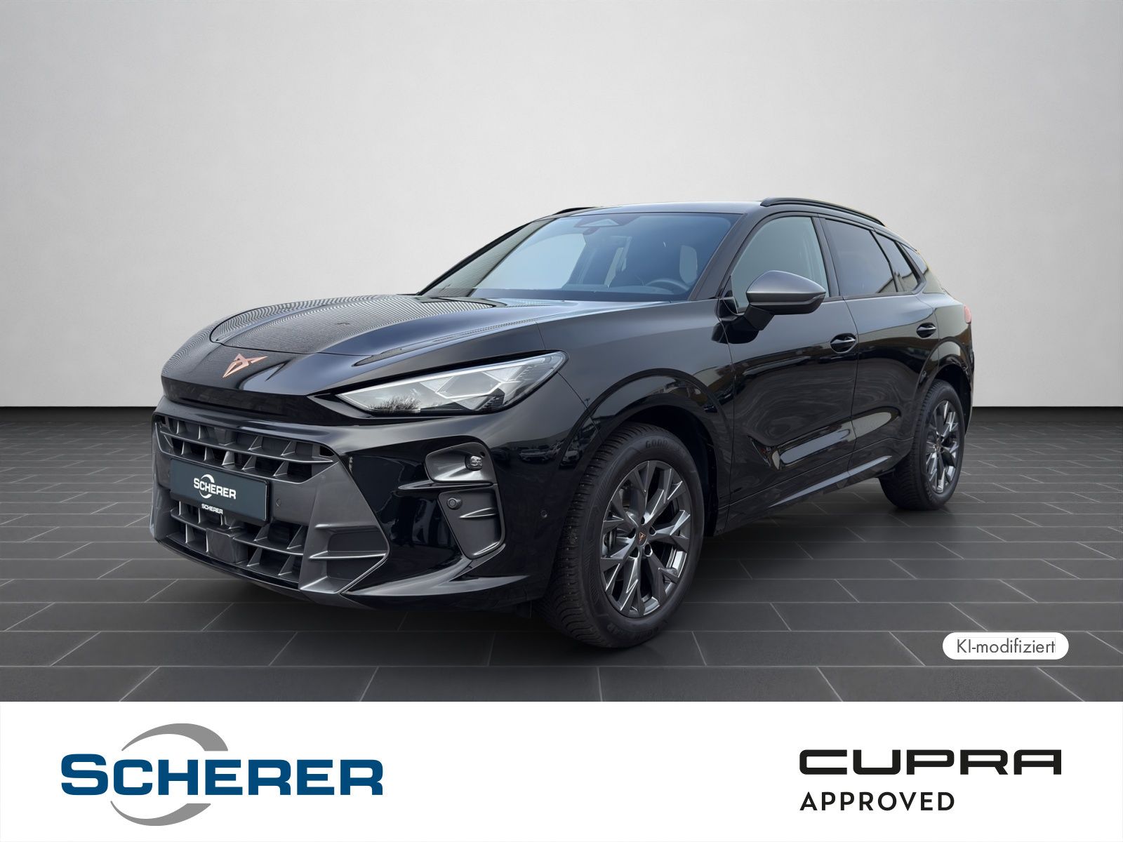Cupra Terramar 1.5 eTSI DSG 5J-Garantie Sennheiser Mat