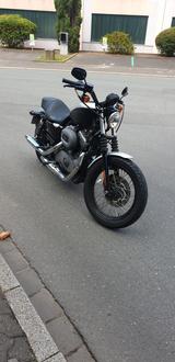 Harley-Davidson Sportster Nightster  - Offers