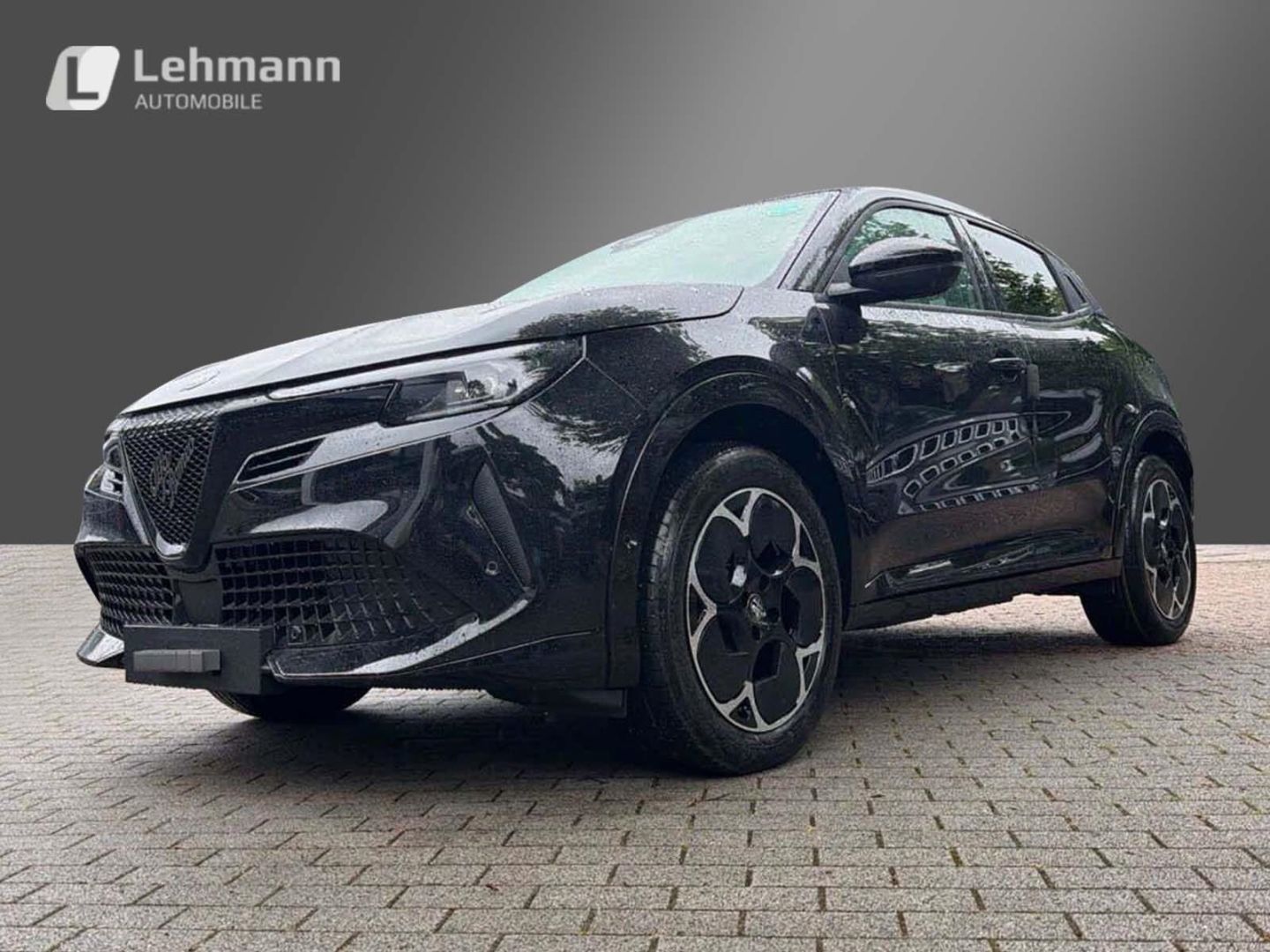 Fahrzeugabbildung Alfa Romeo Junior Elettrica TI -Technologie-Panorama-Wärmep