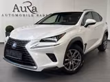 Lexus NX 300h AWD Executive NAV+LED+SHZ+KAMERA+1HD+PP - Lexus: 300h
