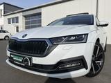Skoda Octavia Combi 2.0 TDI Style First Edition 110€ m - Skoda Octavia: Leder