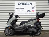 Honda NSS 125 Forza ABS * 6 Jahre Garantie * Neu 25 * - HONDA NS125