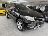 Mercedes-Benz ML 350/Memory/Kamera/AHK/Nav. - Mercedes-Benz ML 350 Gebrauchtwagen in München