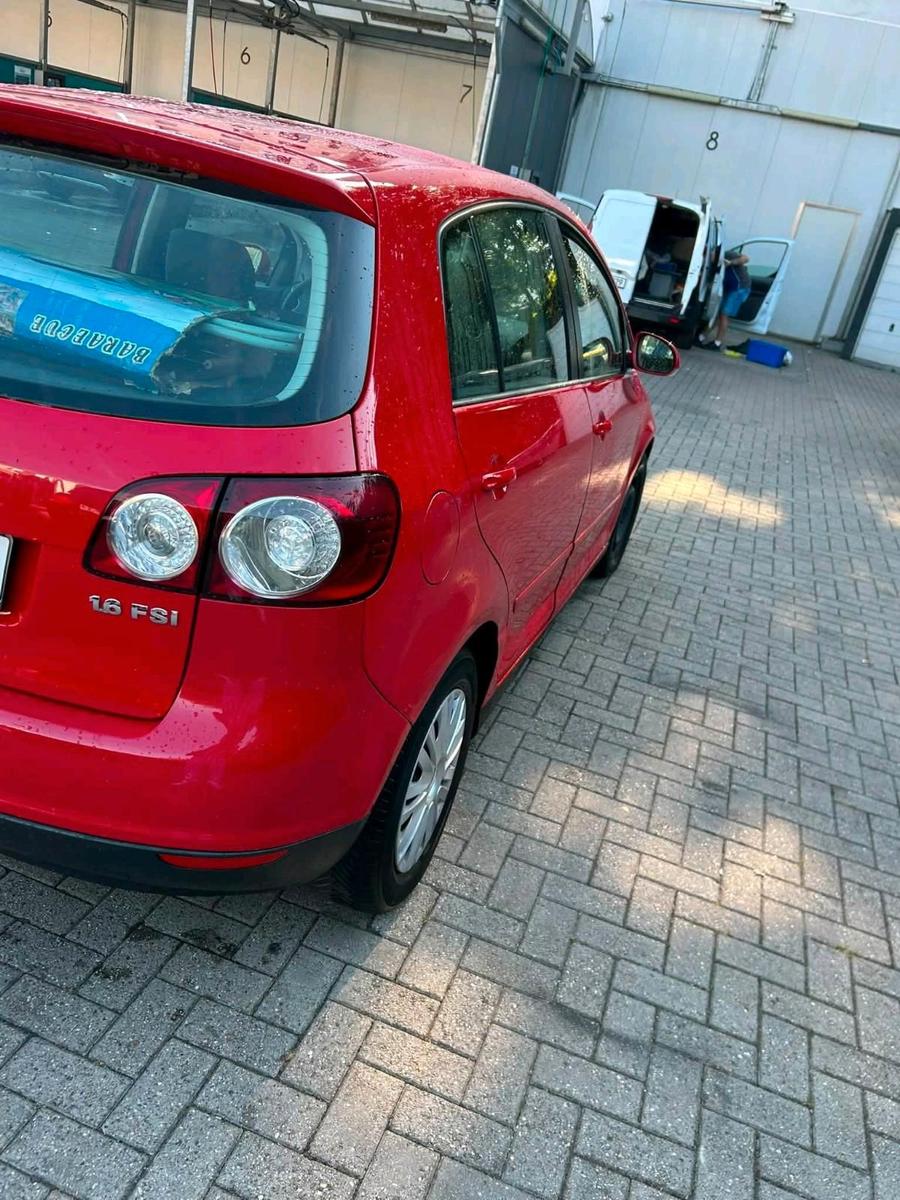 Volkswagen Golf Plus 2005 — rear view