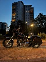 Harley-Davidson EVO Softail Custom H Kennzeichen  - HARLEY-DAVIDSON 1996 SOFTAIL