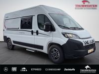 Autohaus Thorwesten Gebrauchtwagen