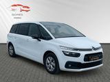 Citroën Grand C4 Picasso Cool 1.5 Blue Hdi Navi/LED/AHK/ - Citroën Grand C4 Picasso / SpaceTourer aus 2022