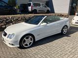 Mercedes-Benz CLK 280 AVANTGARDE, AMG Sportpaket, Memory - weiße Mercedes-Benz CLK-Klasse
