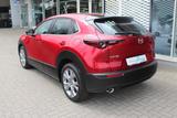 Mazda CX-30 M-Hybrid G-150 AWD AT Selection ACT-P NAVI - Mazda CX-30: Selection