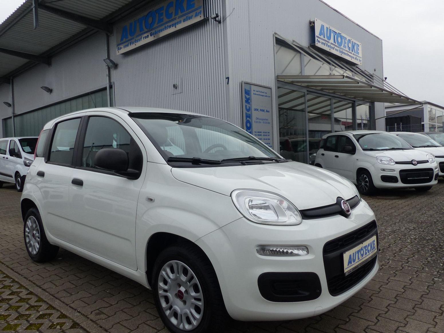 Fiat Panda Easy 1.2 KLIMA/1.Hand/Allwetterreifen
