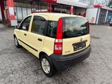 Fiat Panda 1.1 8V Active*KEIN TÜV* - gebrauchte Fiat Panda aus dem Jahr 2007
