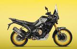 VOGE DS 800 X Rallye - VOGE DS800X Rally