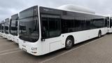 MAN A21 CNG 20x stück/units Klima - Radlader