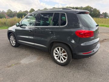 Volkswagen Tiguan - 6