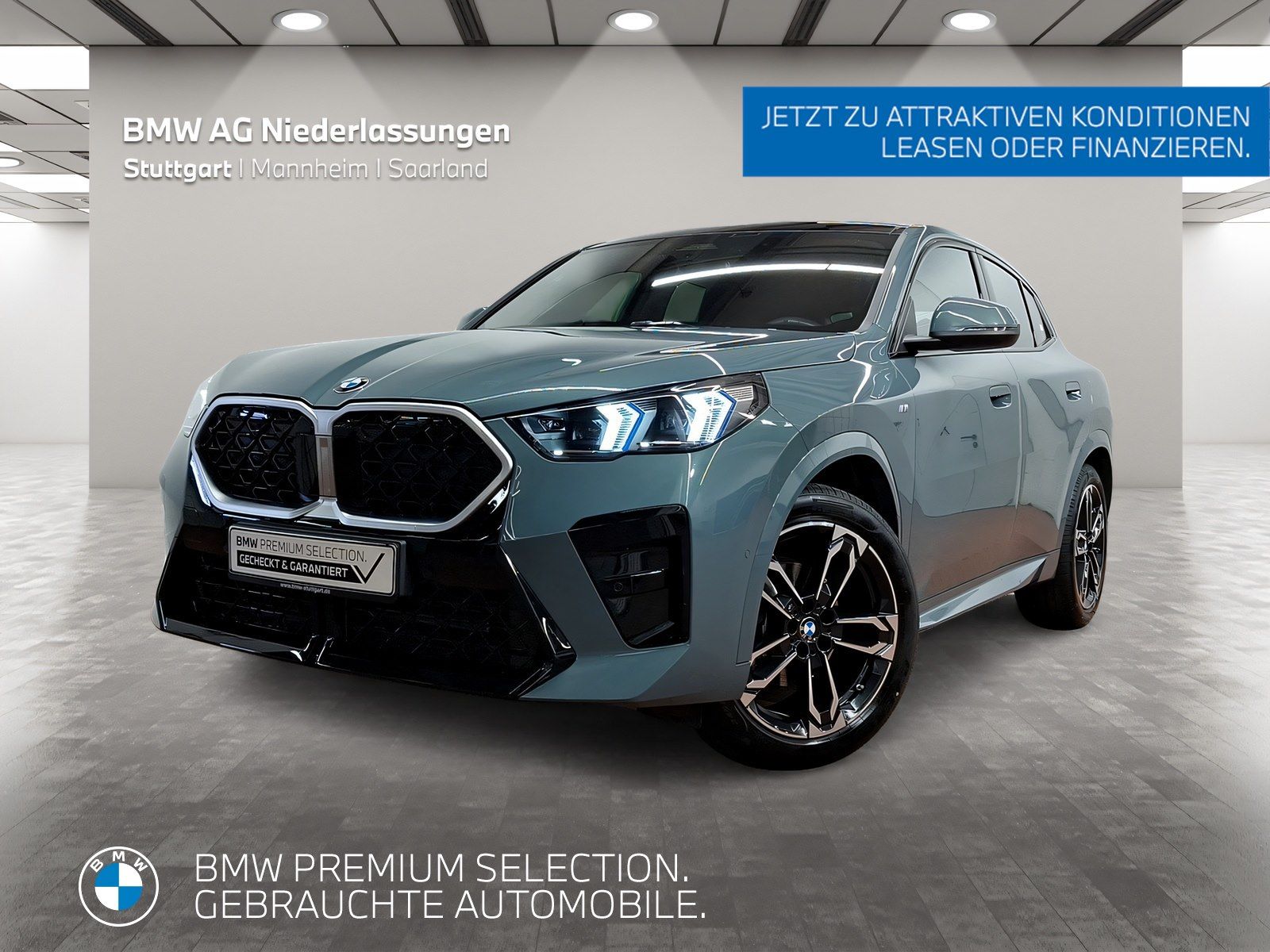 BMW X2 sDrive20d M Sport Kamera Pano.Dach LED Alarm