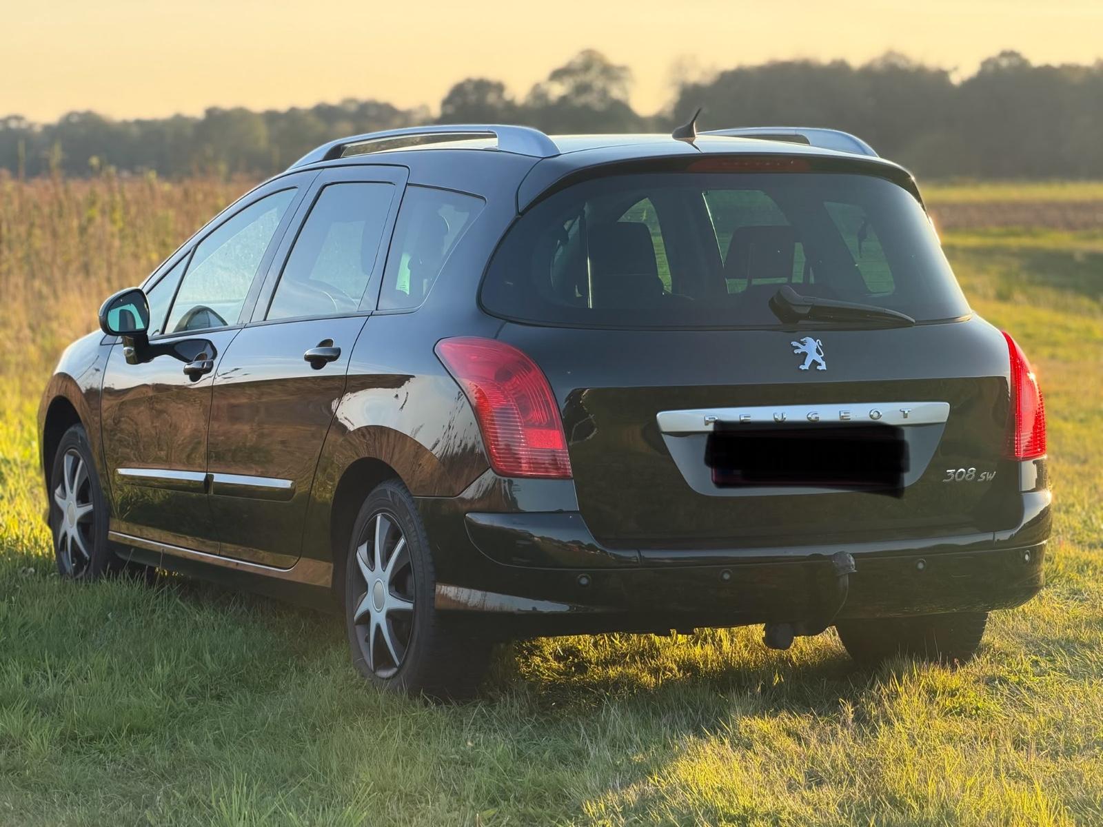 Peugeot 308 2011 — rear view
