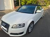 Audi A3 1.8 TFSI Ambition Cabrio TOP/S-Heft/unfallfre - Audi A3 aus 2010: Cabrio
