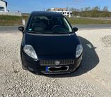 Fiat Punto 1.2  Benziner - 2/3 Türen / 8- ... - Fiat Punto: 1.3