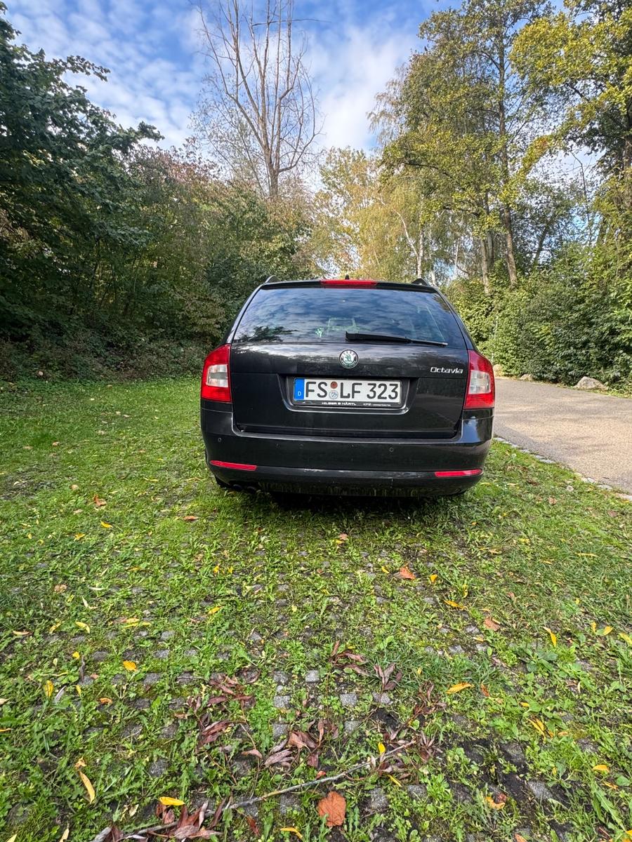 Skoda Octavia 2011 — photo 6